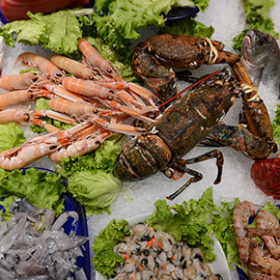 pescheria-la-barcaccia